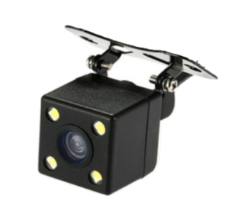 CMR231
